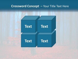 A Blue Forest With Red Leaves On The Ground PowerPoint Template