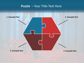 A Blue Forest With Red Leaves On The Ground PowerPoint Template