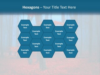 A Blue Forest With Red Leaves On The Ground PowerPoint Template