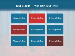 A Blue Forest With Red Leaves On The Ground PowerPoint Template