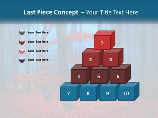 A Blue Forest With Red Leaves On The Ground PowerPoint Template