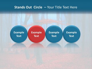 A Blue Forest With Red Leaves On The Ground PowerPoint Template