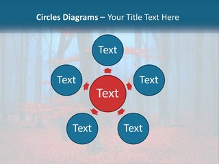 A Blue Forest With Red Leaves On The Ground PowerPoint Template