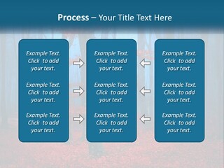 A Blue Forest With Red Leaves On The Ground PowerPoint Template