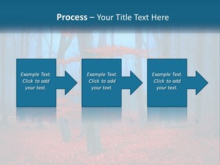 A Blue Forest With Red Leaves On The Ground PowerPoint Template