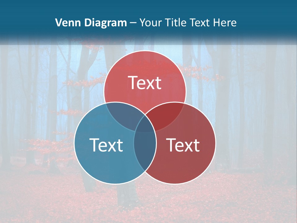 A Blue Forest With Red Leaves On The Ground PowerPoint Template