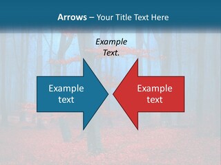 A Blue Forest With Red Leaves On The Ground PowerPoint Template