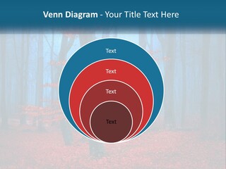A Blue Forest With Red Leaves On The Ground PowerPoint Template