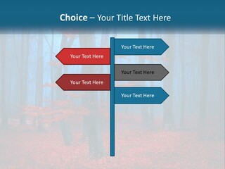A Blue Forest With Red Leaves On The Ground PowerPoint Template