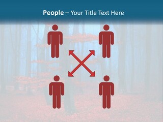 A Blue Forest With Red Leaves On The Ground PowerPoint Template