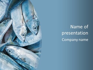 A Bunch Of Fish On A Blue Background PowerPoint Template