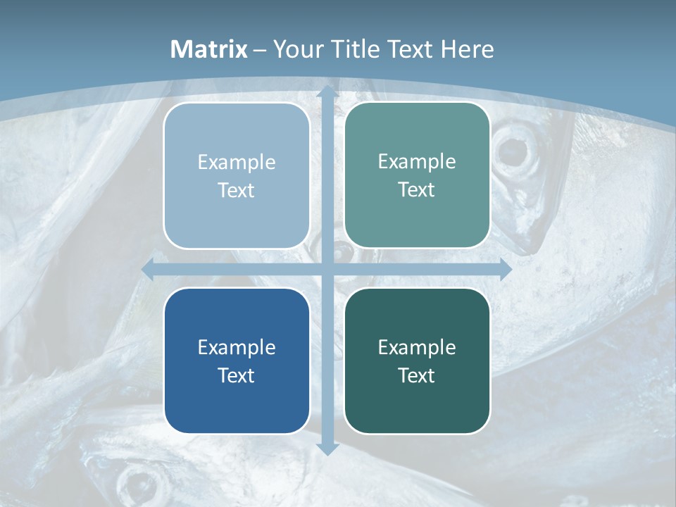 A Bunch Of Fish On A Blue Background PowerPoint Template