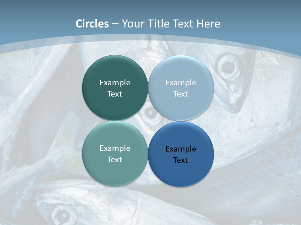 A Bunch Of Fish On A Blue Background PowerPoint Template