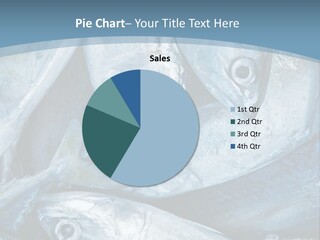 A Bunch Of Fish On A Blue Background PowerPoint Template