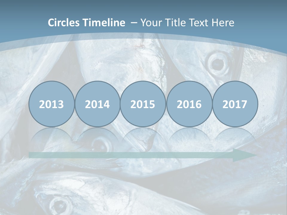 A Bunch Of Fish On A Blue Background PowerPoint Template