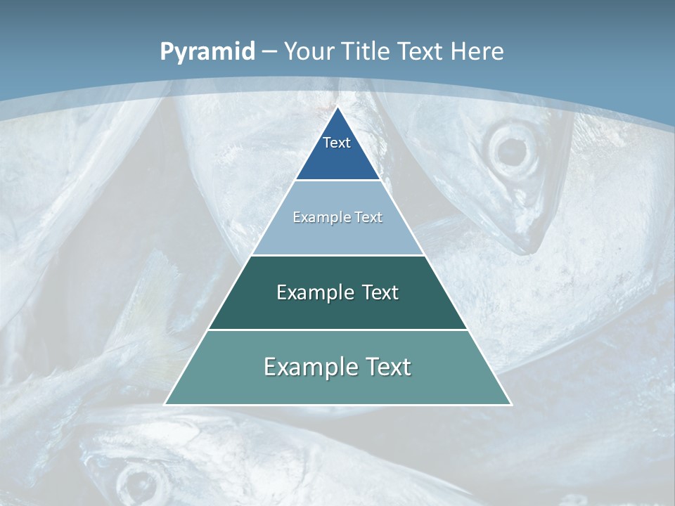 A Bunch Of Fish On A Blue Background PowerPoint Template