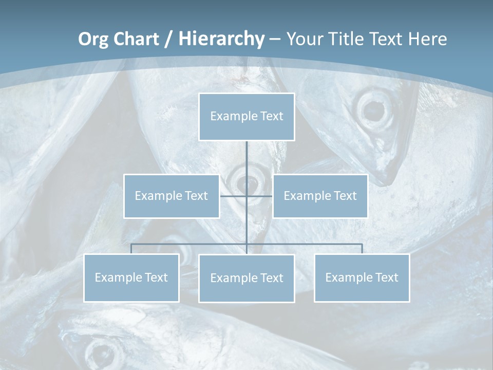 A Bunch Of Fish On A Blue Background PowerPoint Template