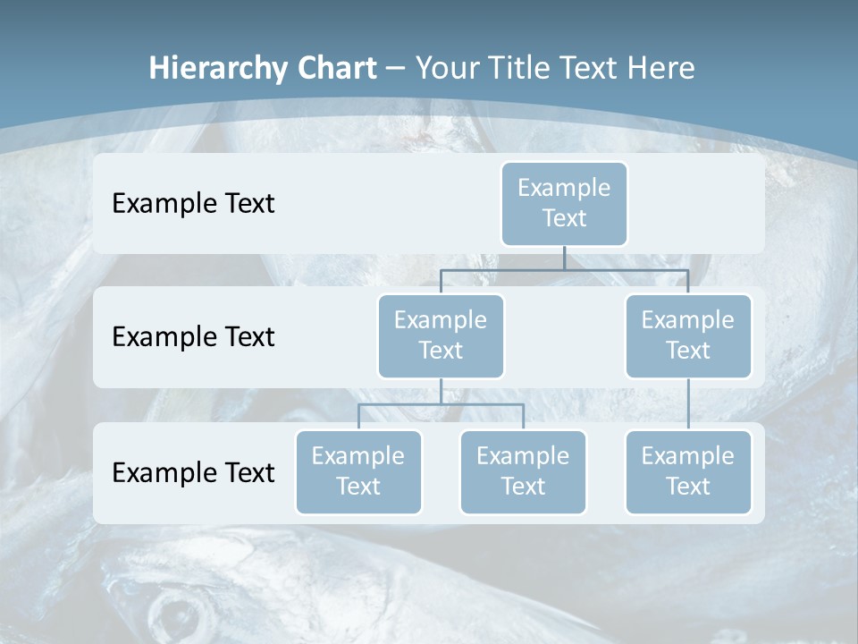 A Bunch Of Fish On A Blue Background PowerPoint Template