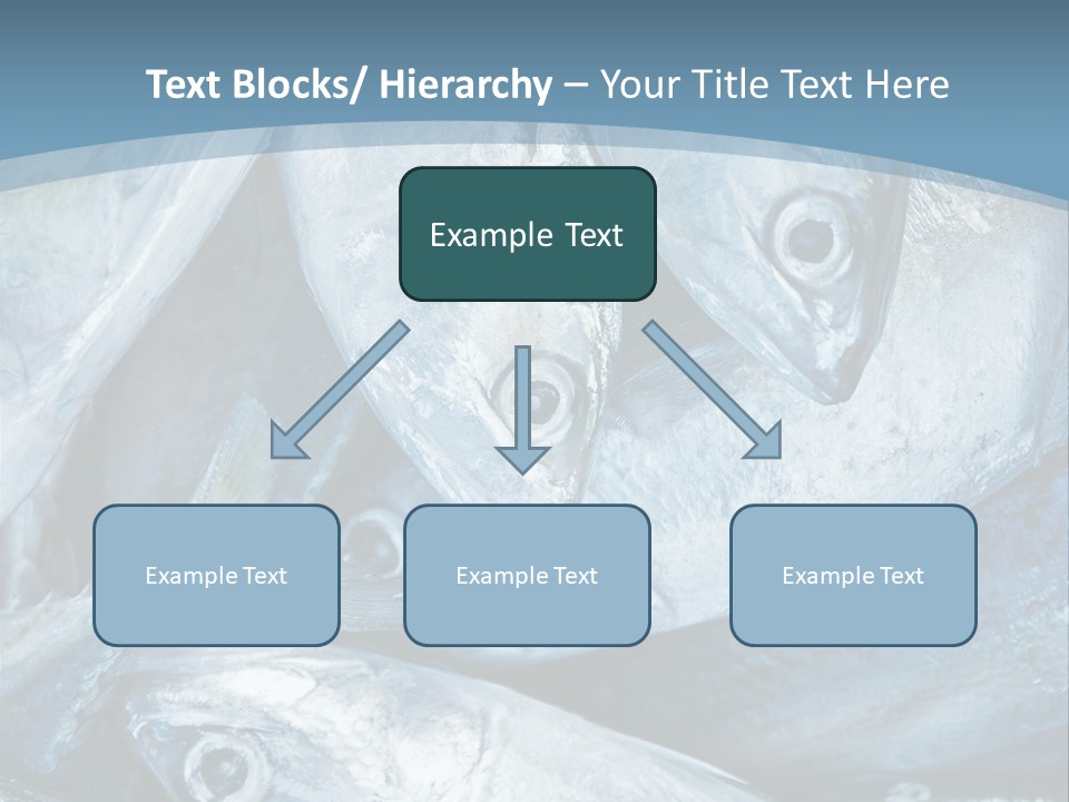 A Bunch Of Fish On A Blue Background PowerPoint Template