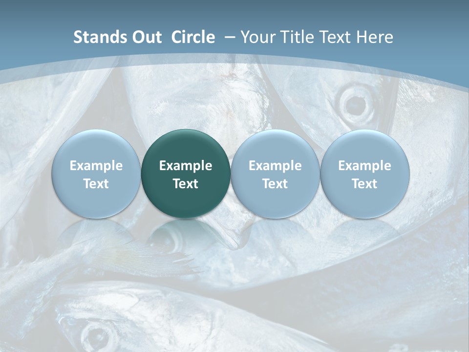 A Bunch Of Fish On A Blue Background PowerPoint Template