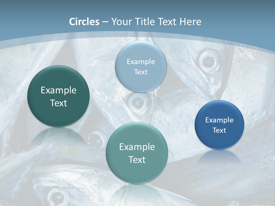 A Bunch Of Fish On A Blue Background PowerPoint Template
