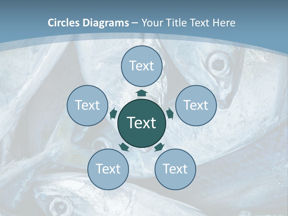 A Bunch Of Fish On A Blue Background PowerPoint Template