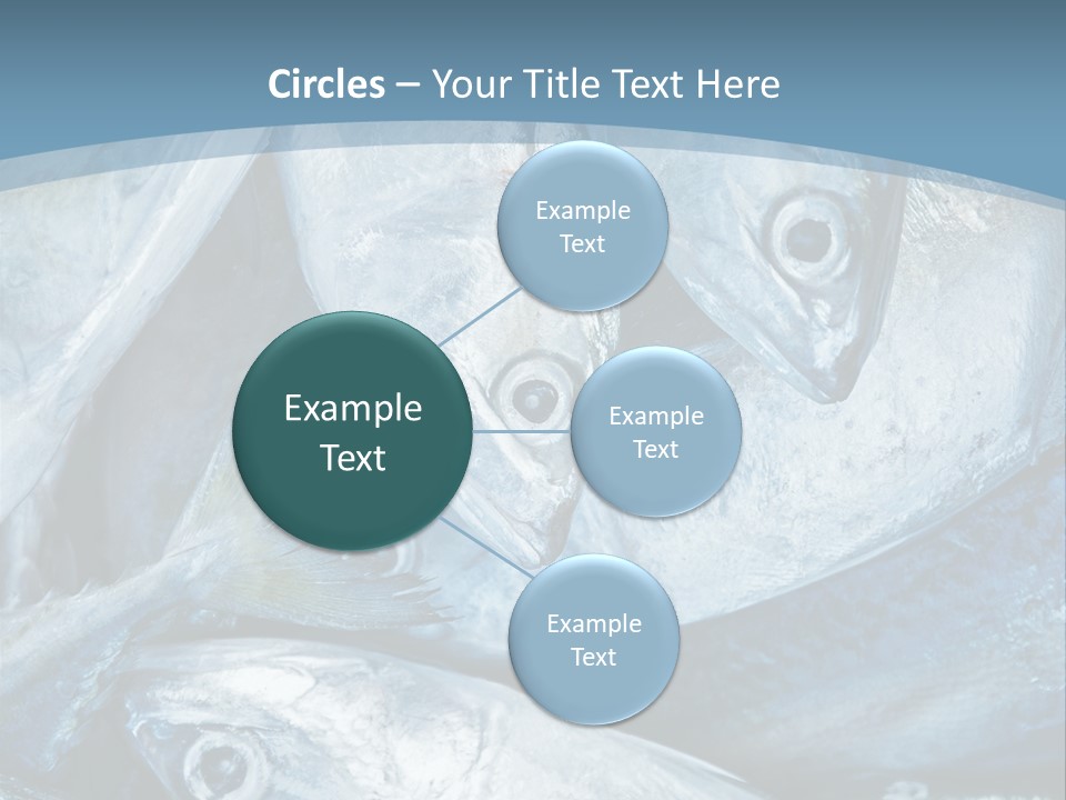 A Bunch Of Fish On A Blue Background PowerPoint Template