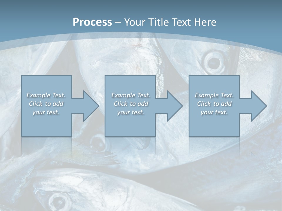 A Bunch Of Fish On A Blue Background PowerPoint Template