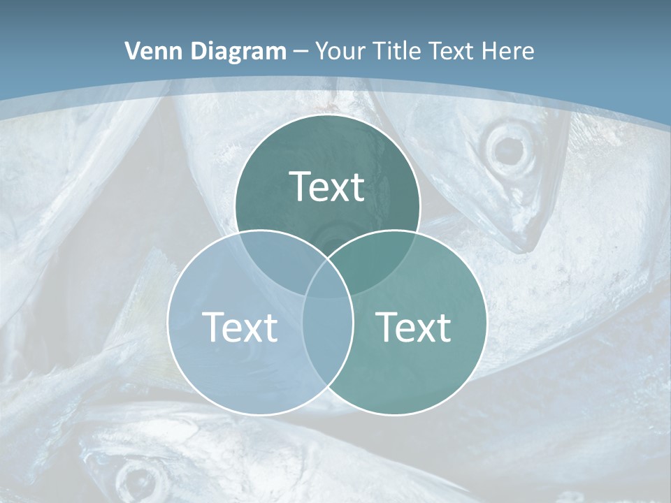 A Bunch Of Fish On A Blue Background PowerPoint Template