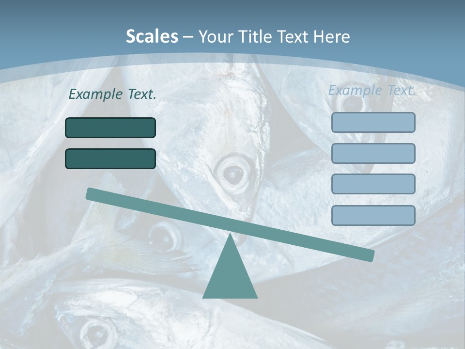 A Bunch Of Fish On A Blue Background PowerPoint Template