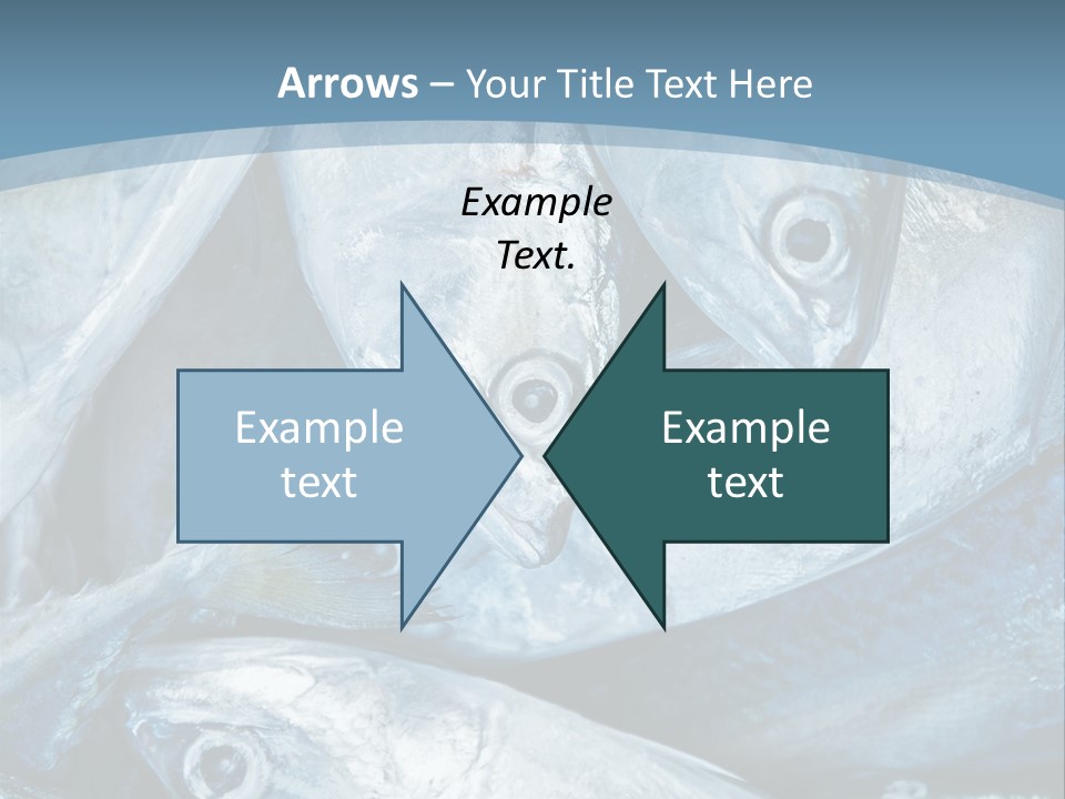 A Bunch Of Fish On A Blue Background PowerPoint Template