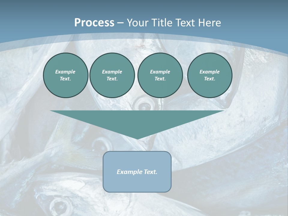 A Bunch Of Fish On A Blue Background PowerPoint Template