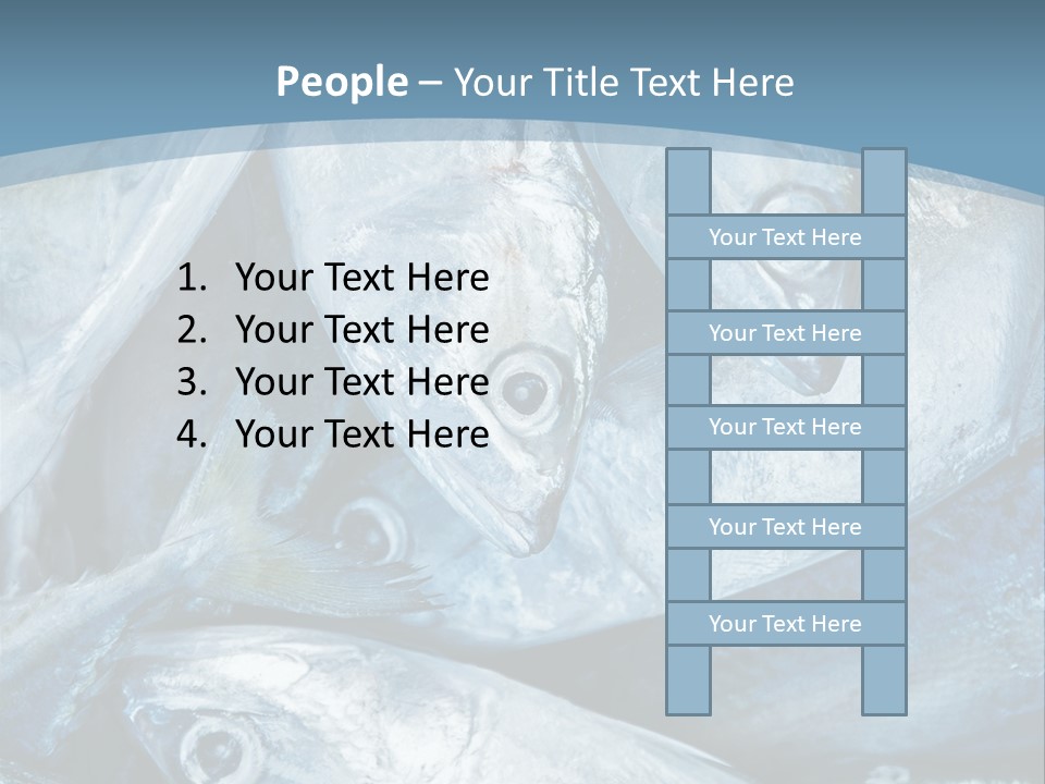 A Bunch Of Fish On A Blue Background PowerPoint Template