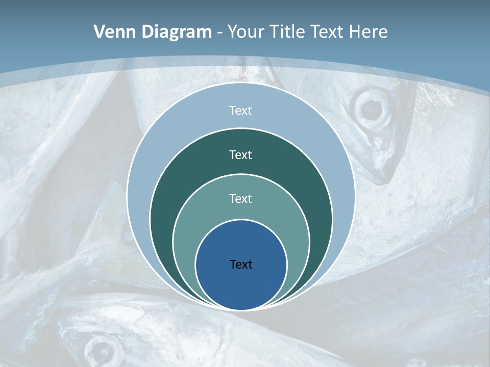 A Bunch Of Fish On A Blue Background PowerPoint Template
