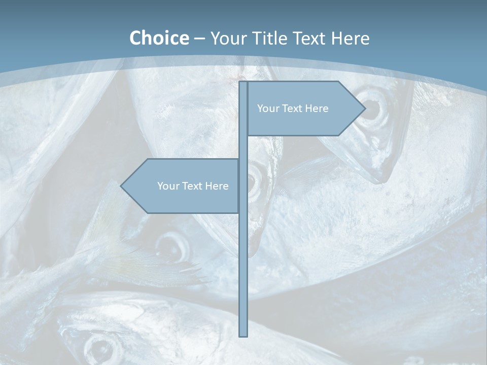 A Bunch Of Fish On A Blue Background PowerPoint Template