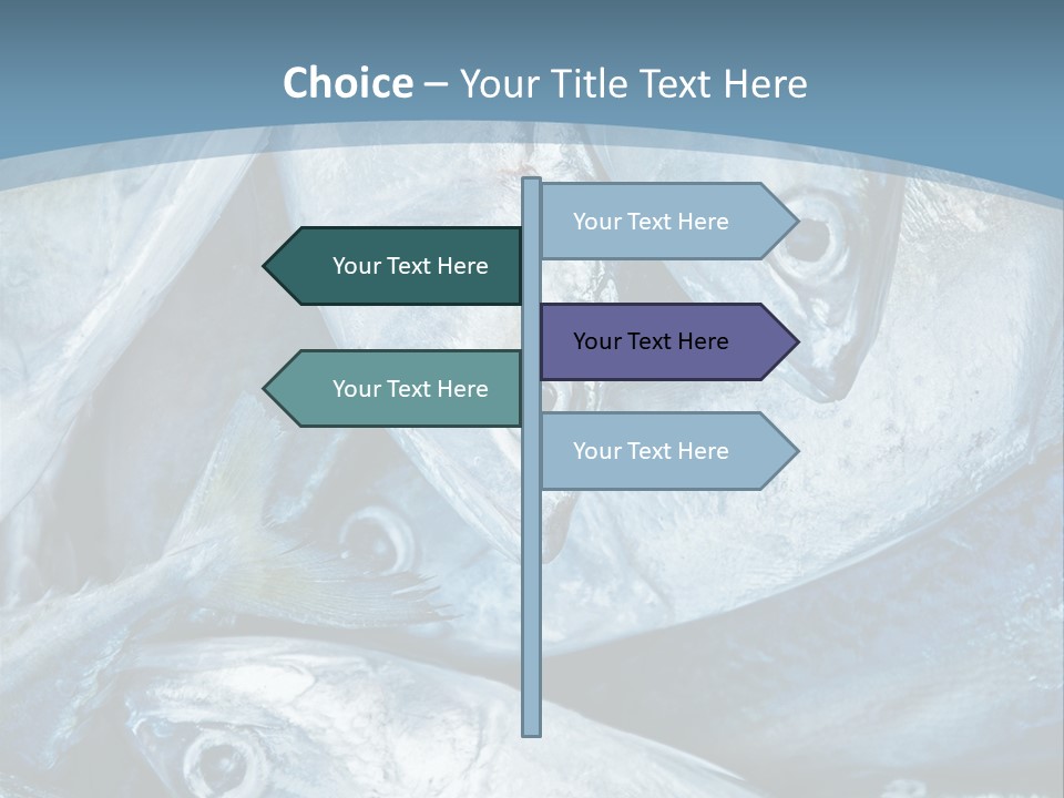 A Bunch Of Fish On A Blue Background PowerPoint Template