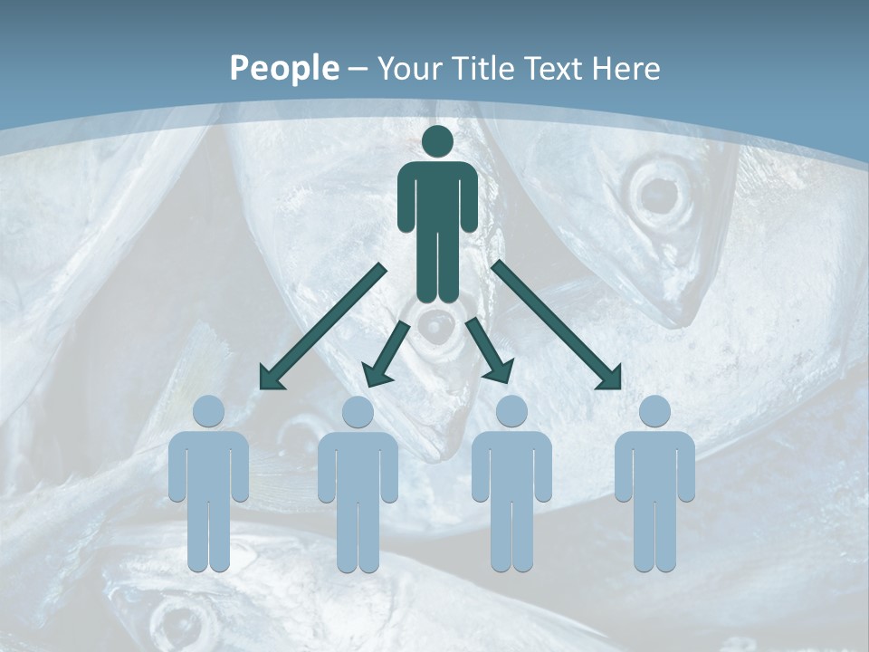 A Bunch Of Fish On A Blue Background PowerPoint Template