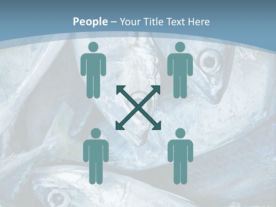 A Bunch Of Fish On A Blue Background PowerPoint Template