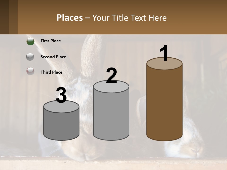 A Couple Of Rabbits Sitting Next To Each Other PowerPoint Template