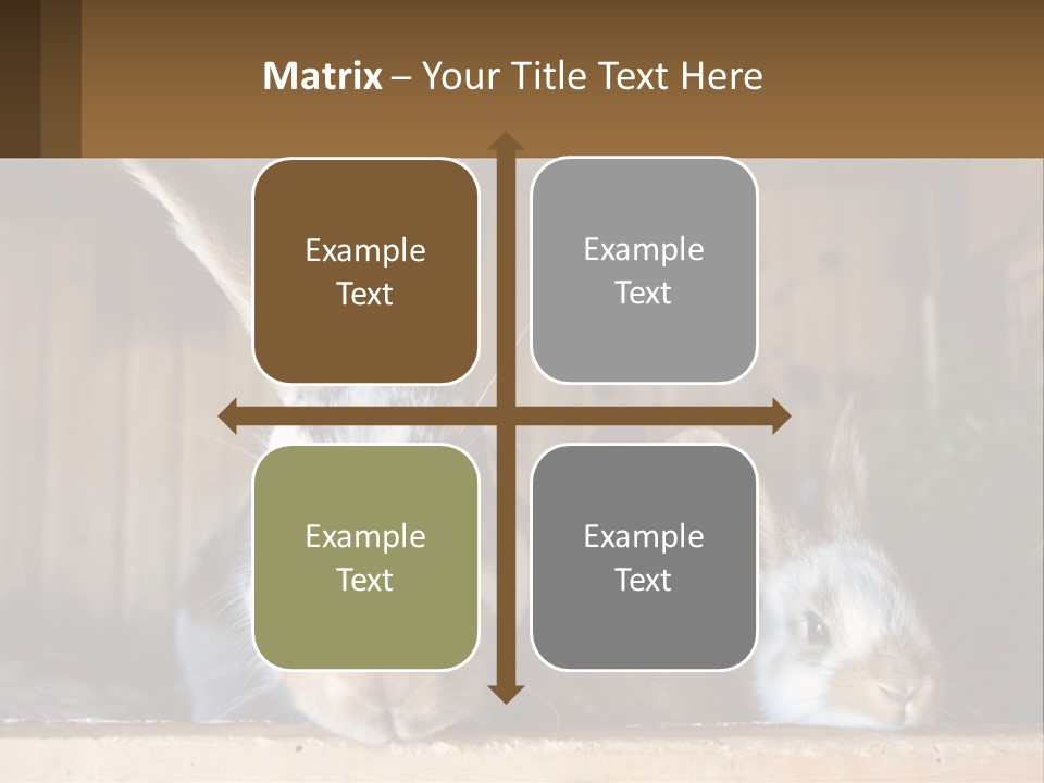A Couple Of Rabbits Sitting Next To Each Other PowerPoint Template