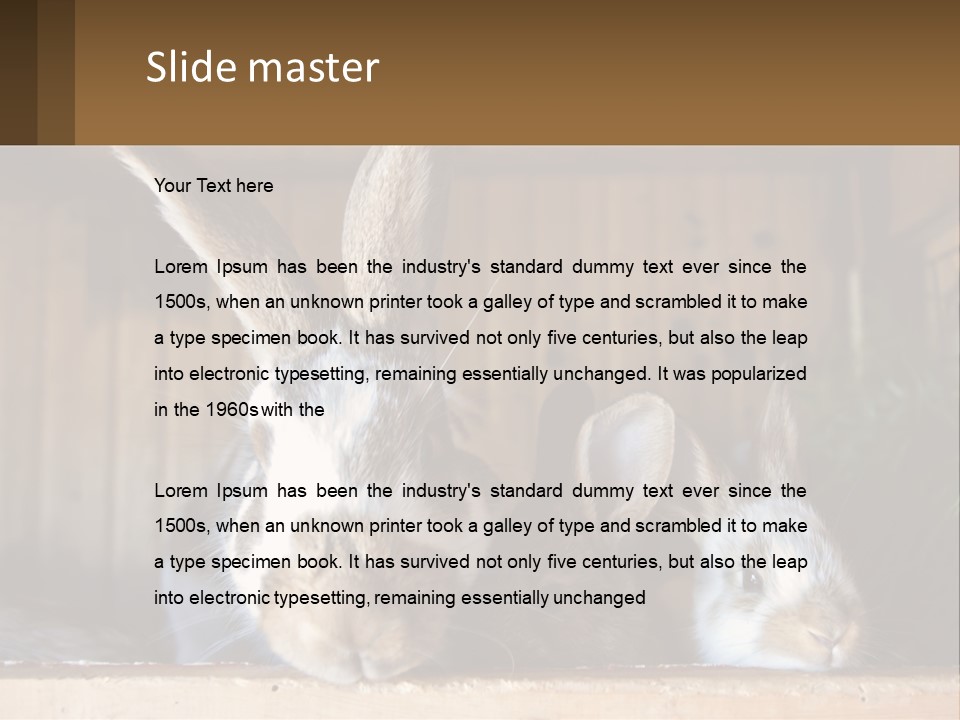 A Couple Of Rabbits Sitting Next To Each Other PowerPoint Template