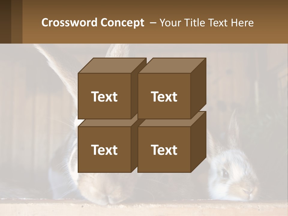 A Couple Of Rabbits Sitting Next To Each Other PowerPoint Template