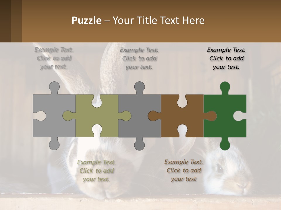 A Couple Of Rabbits Sitting Next To Each Other PowerPoint Template