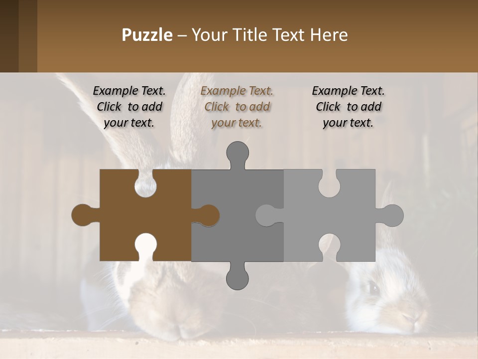 A Couple Of Rabbits Sitting Next To Each Other PowerPoint Template