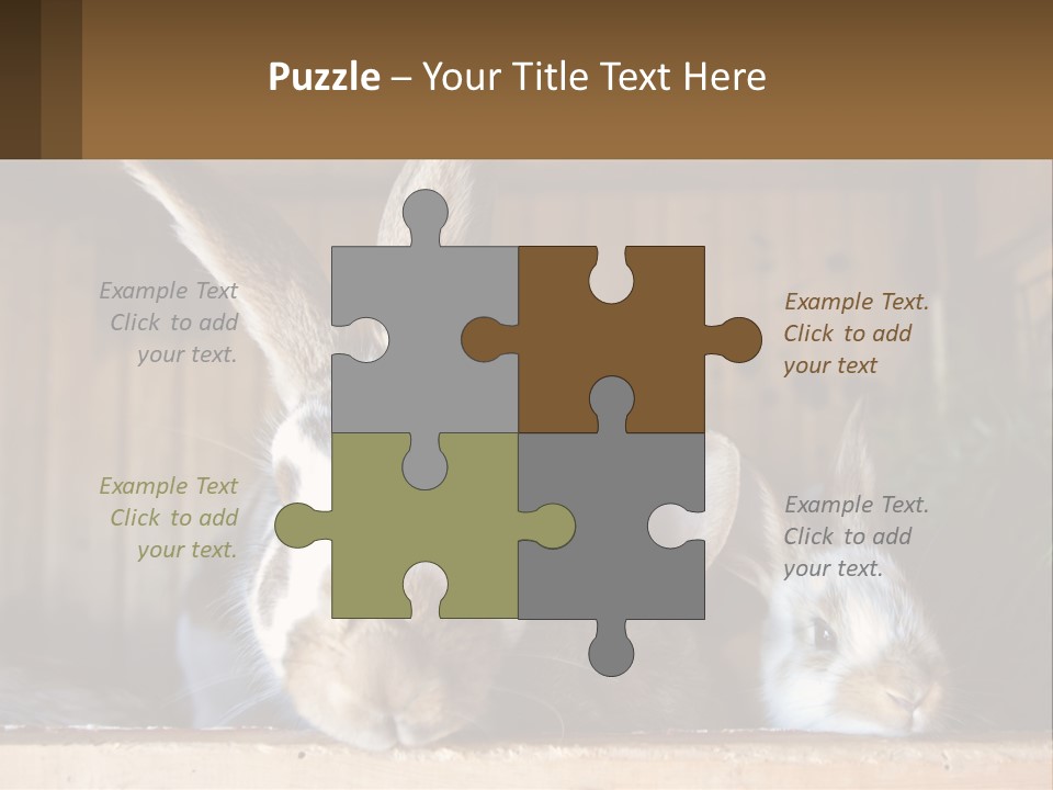 A Couple Of Rabbits Sitting Next To Each Other PowerPoint Template