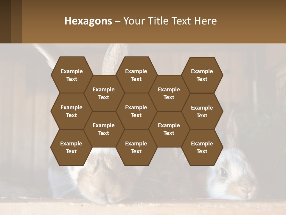 A Couple Of Rabbits Sitting Next To Each Other PowerPoint Template