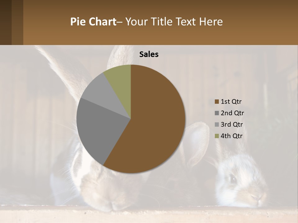 A Couple Of Rabbits Sitting Next To Each Other PowerPoint Template