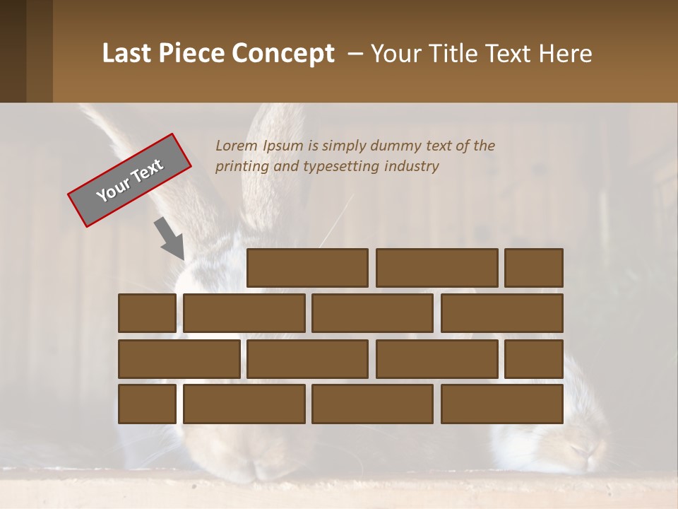 A Couple Of Rabbits Sitting Next To Each Other PowerPoint Template