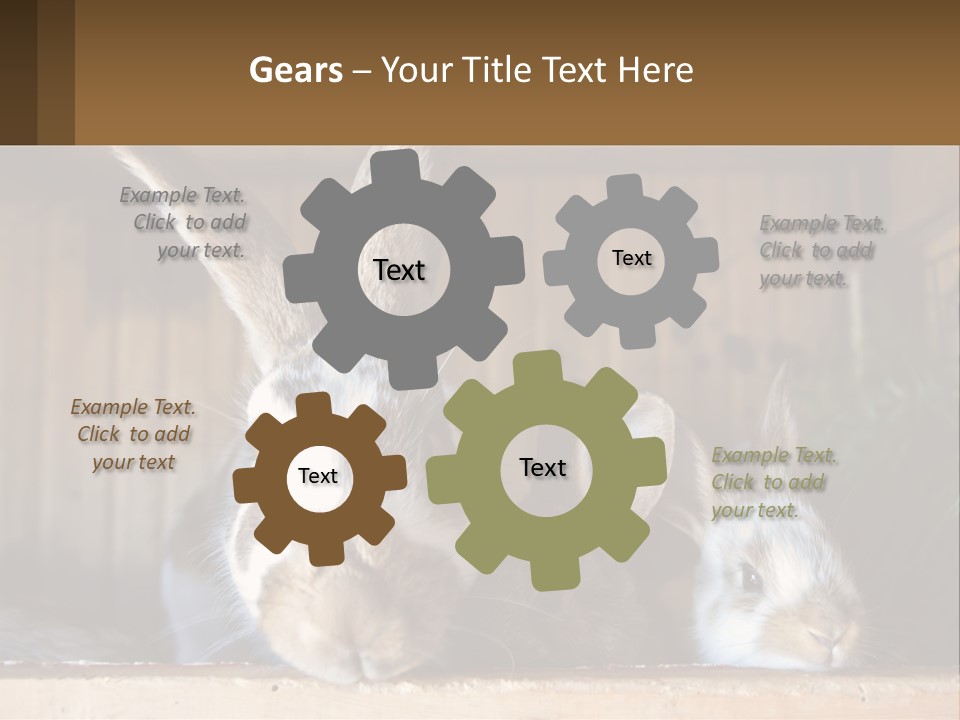 A Couple Of Rabbits Sitting Next To Each Other PowerPoint Template