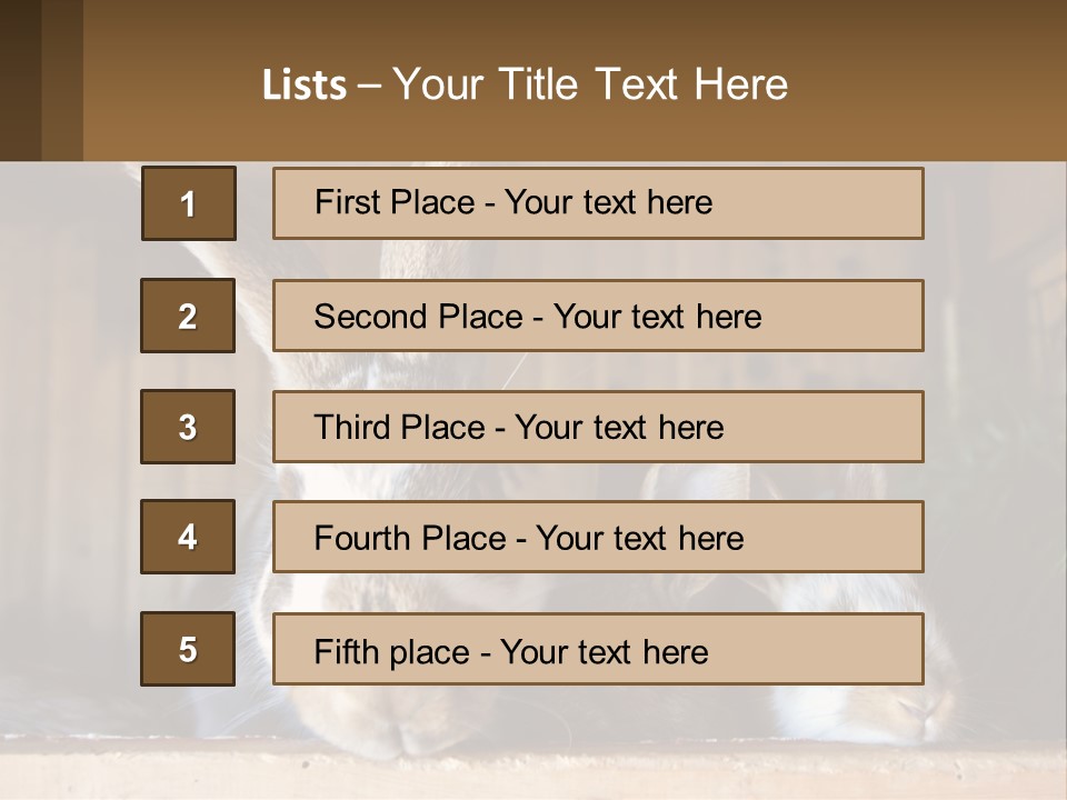 A Couple Of Rabbits Sitting Next To Each Other PowerPoint Template